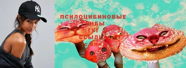 сатива Абинск